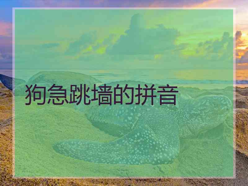 狗急跳墙的拼音