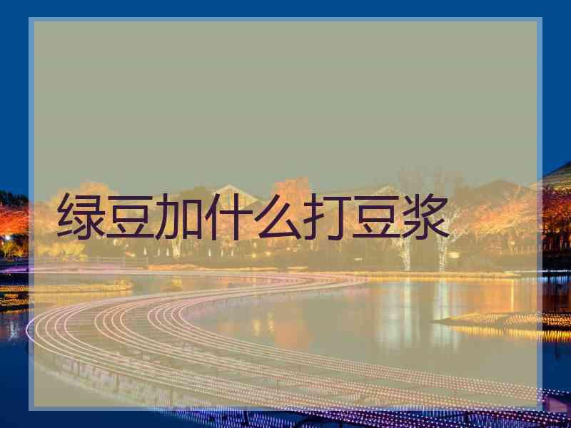 绿豆加什么打豆浆