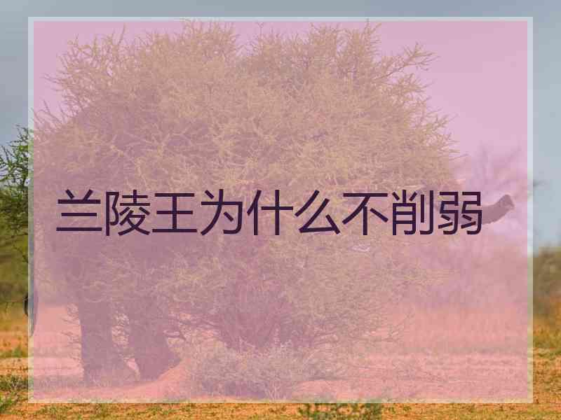 兰陵王为什么不削弱