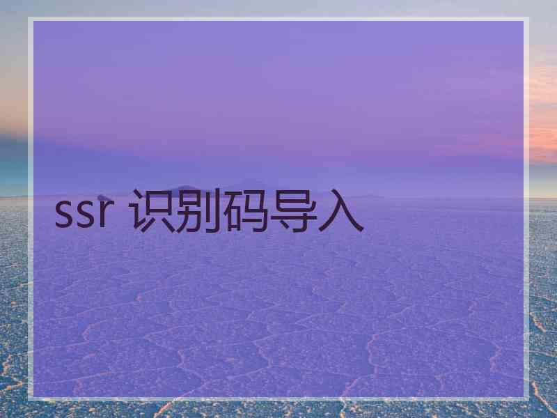 ssr 识别码导入