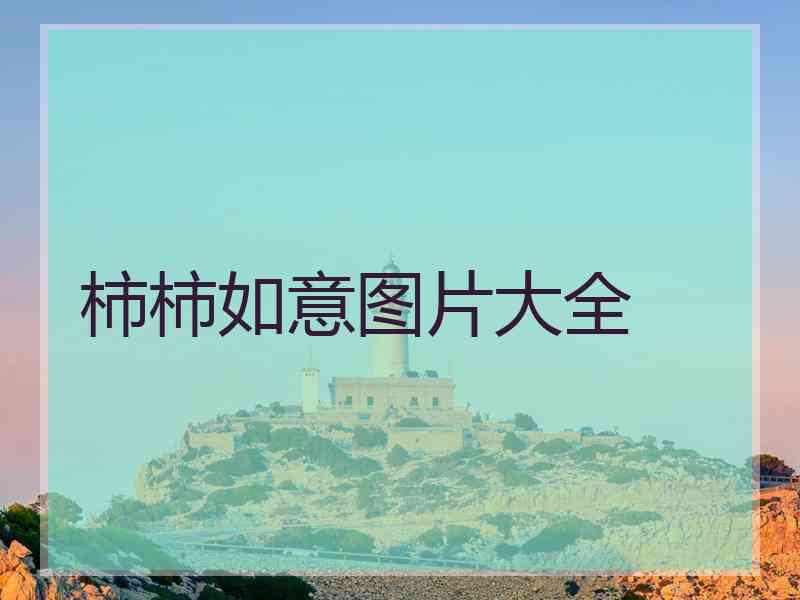 柿柿如意图片大全