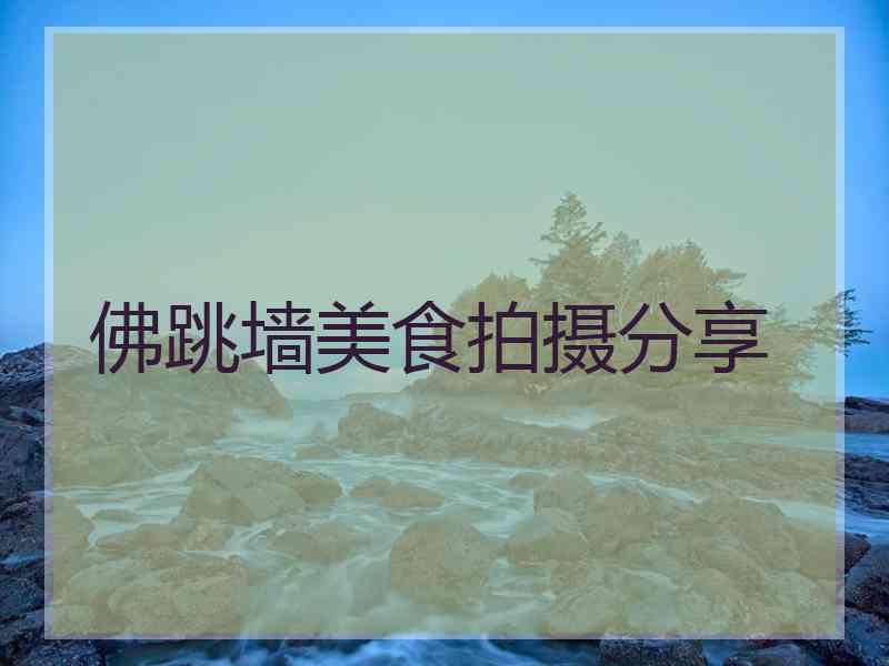 佛跳墙美食拍摄分享
