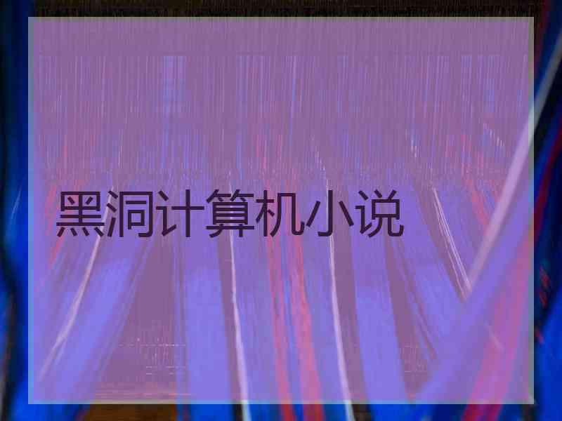黑洞计算机小说