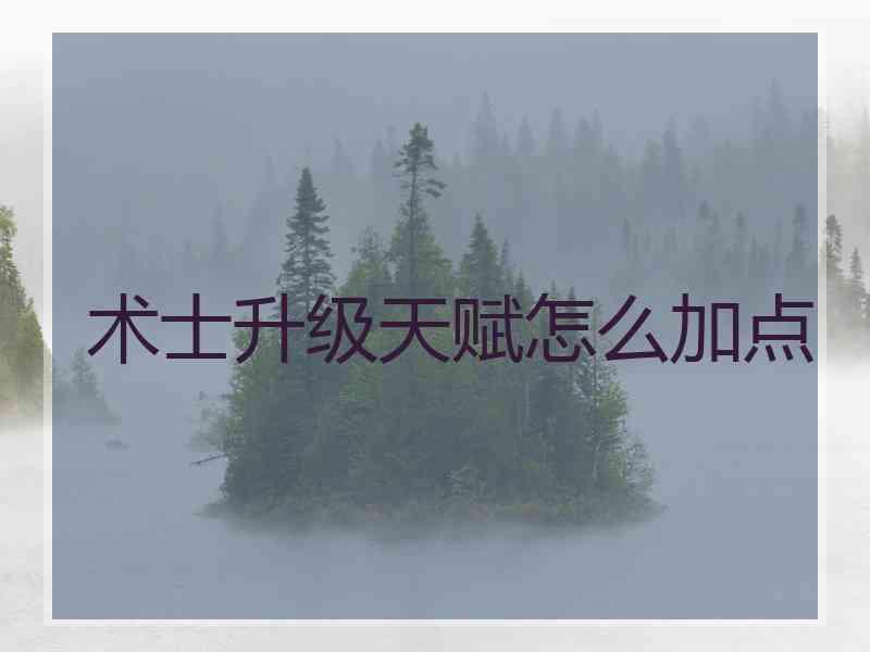 术士升级天赋怎么加点
