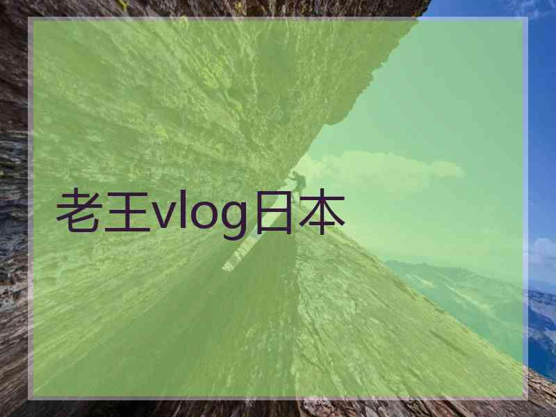 老王vlog日本