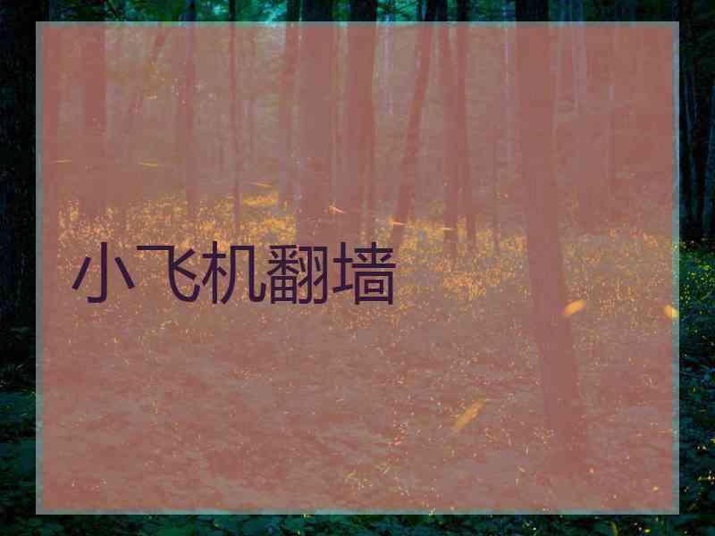 小飞机翻墙