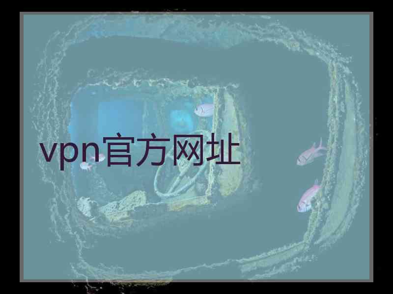 vpn官方网址