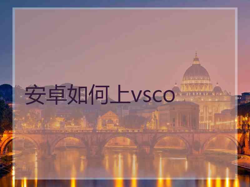 安卓如何上vsco