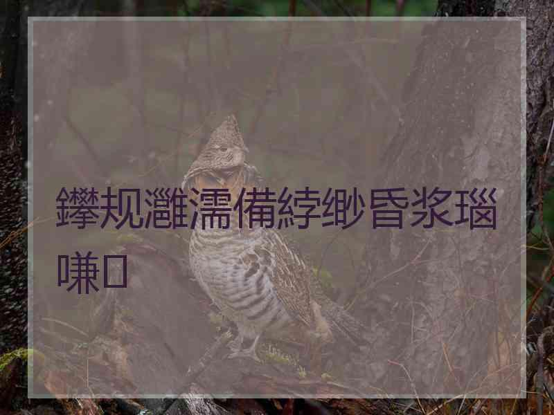 鑻规灉濡備綍缈昏浆瑙嗛