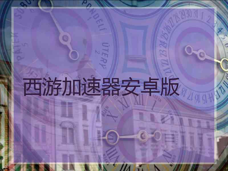 西游加速器安卓版