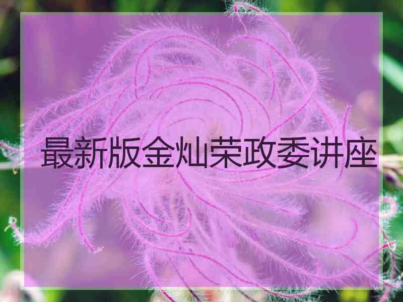 最新版金灿荣政委讲座