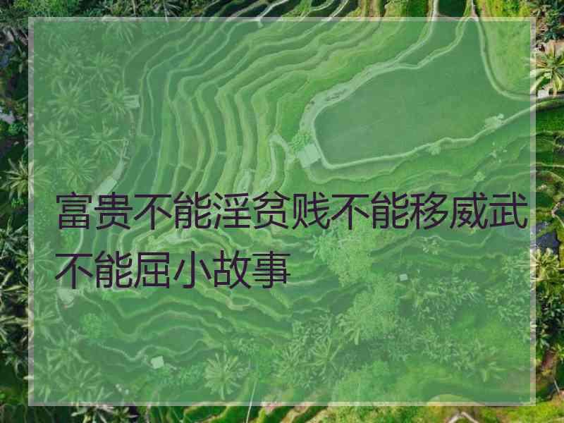 富贵不能淫贫贱不能移威武不能屈小故事