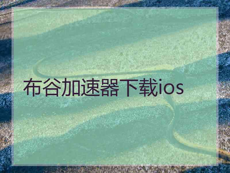 布谷加速器下载ios