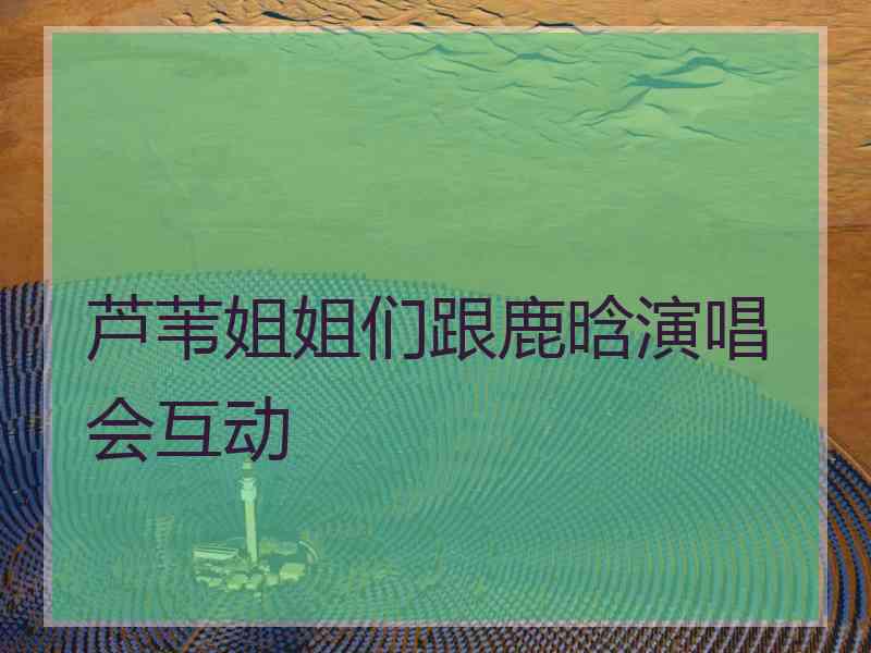 芦苇姐姐们跟鹿晗演唱会互动