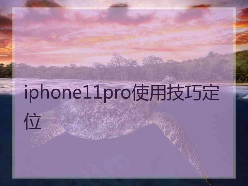 iphone11pro使用技巧定位