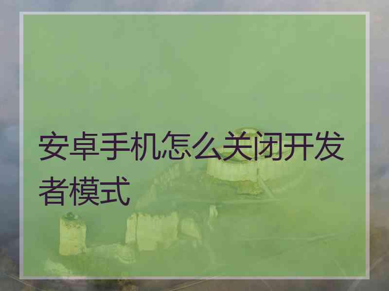 安卓手机怎么关闭开发者模式