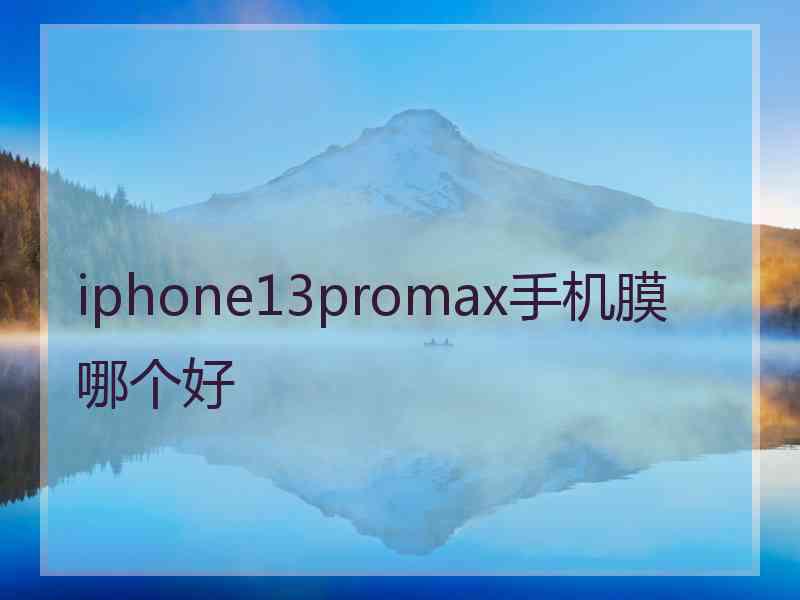 iphone13promax手机膜哪个好