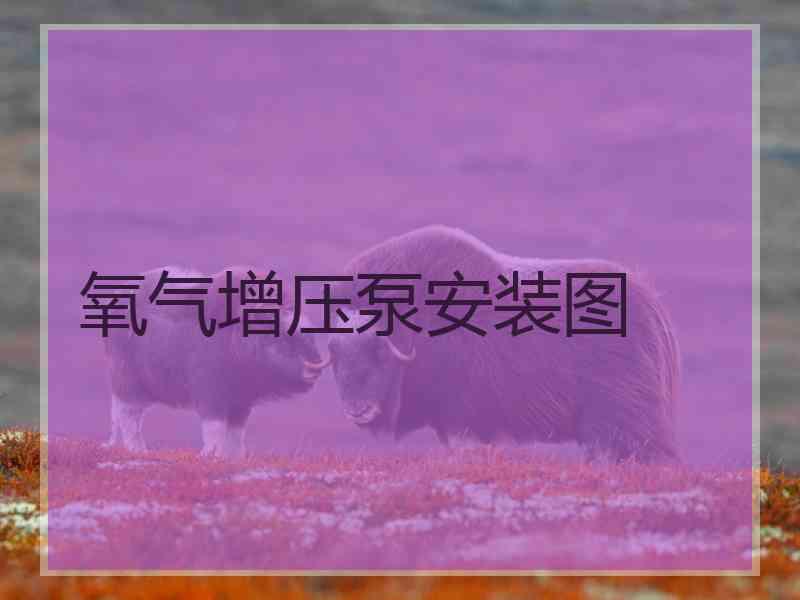 氧气增压泵安装图