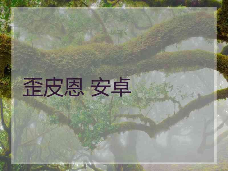 歪皮恩 安卓
