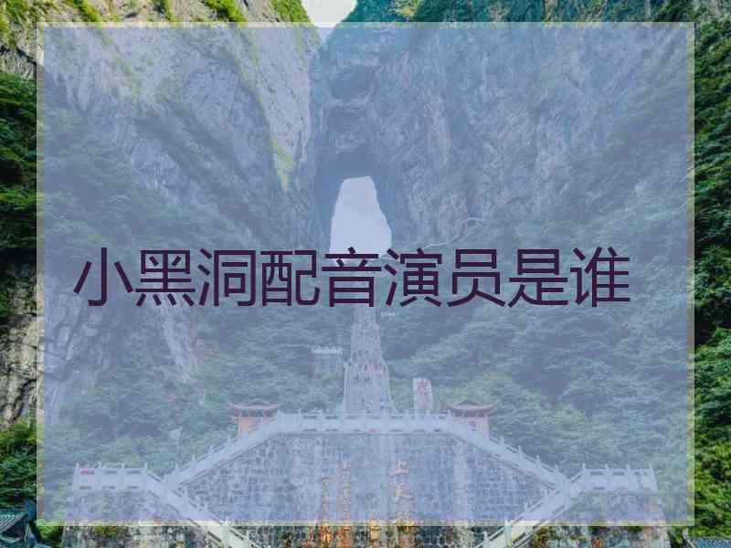 小黑洞配音演员是谁