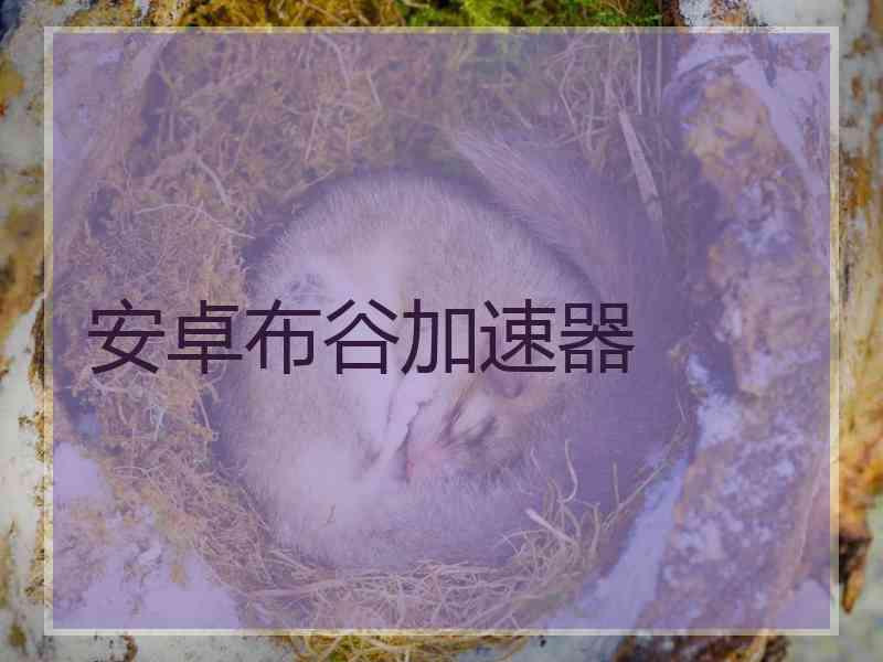 安卓布谷加速器