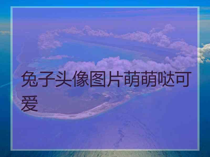 兔子头像图片萌萌哒可爱