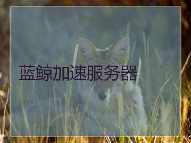 蓝鲸加速服务器