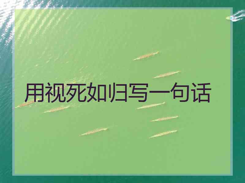 用视死如归写一句话