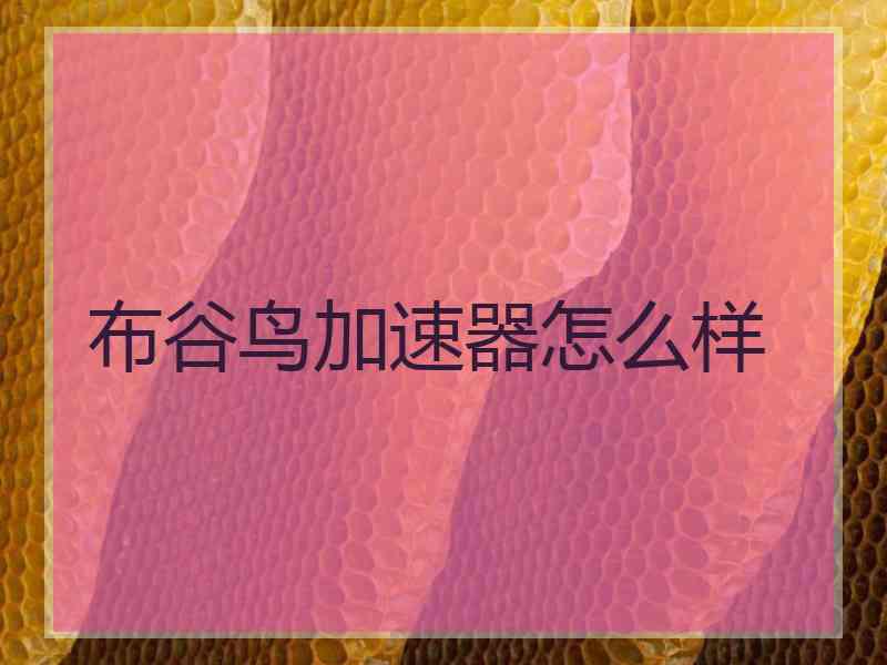 布谷鸟加速器怎么样