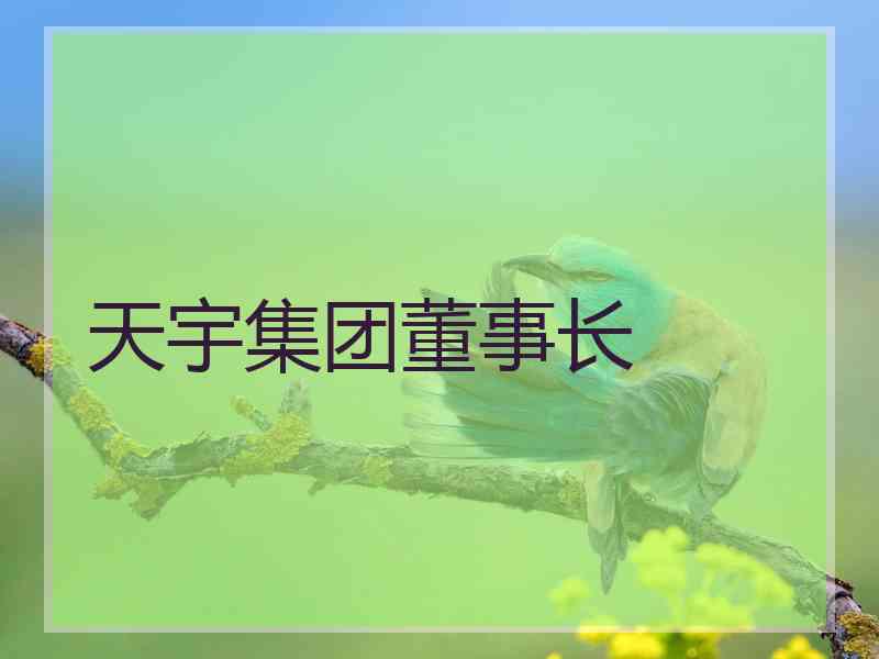 天宇集团董事长