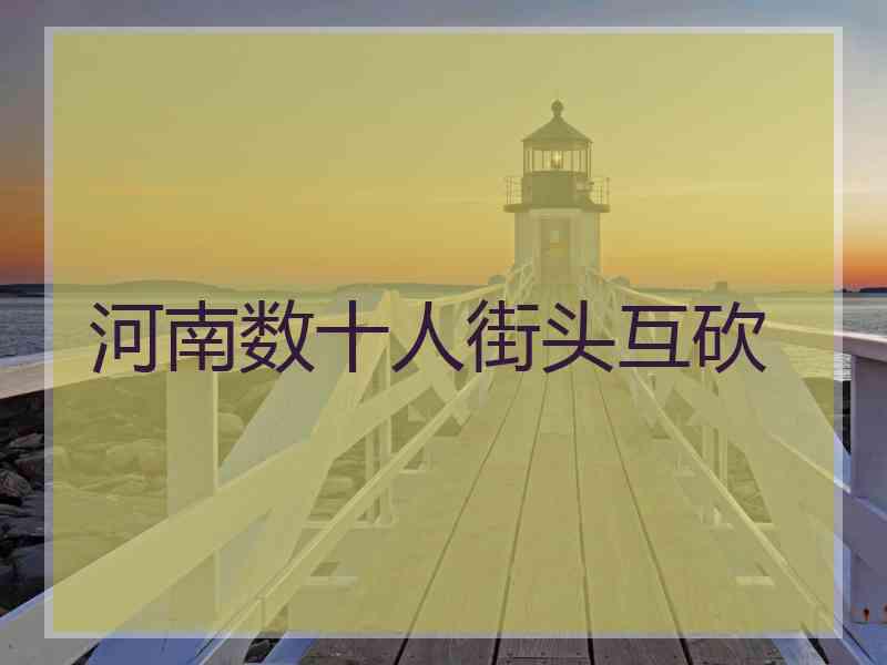 河南数十人街头互砍