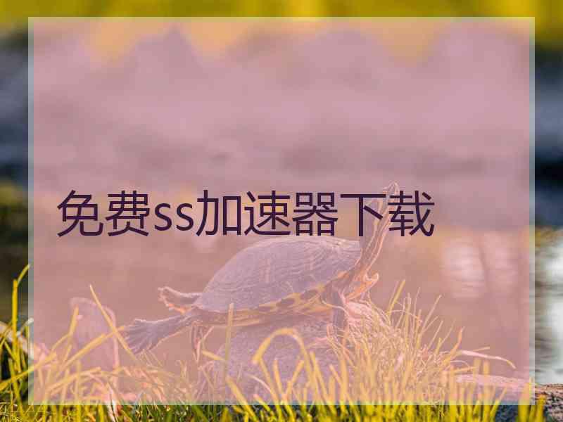 免费ss加速器下载