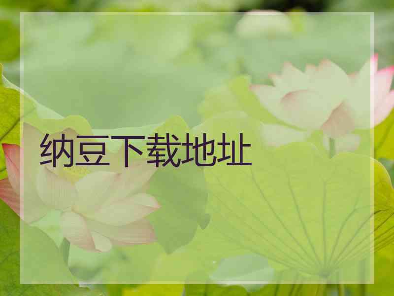 纳豆下载地址