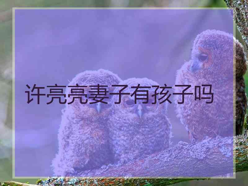 许亮亮妻子有孩子吗