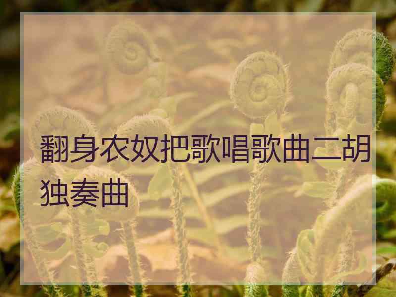 翻身农奴把歌唱歌曲二胡独奏曲