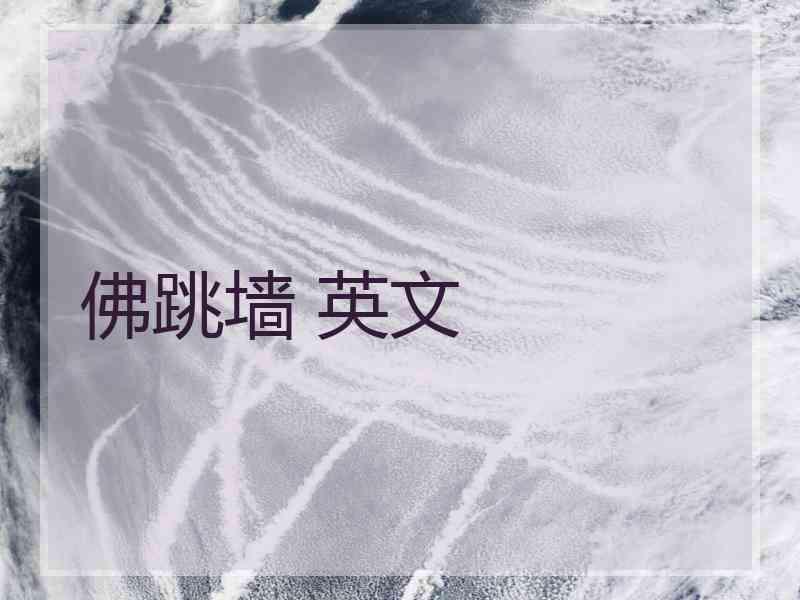 佛跳墙 英文