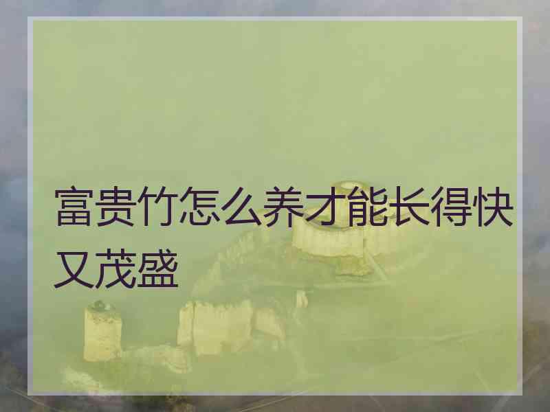 富贵竹怎么养才能长得快又茂盛