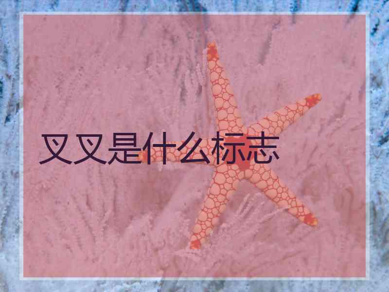 叉叉是什么标志