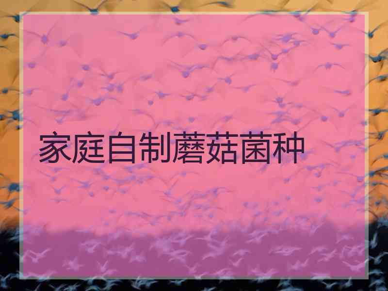 家庭自制蘑菇菌种