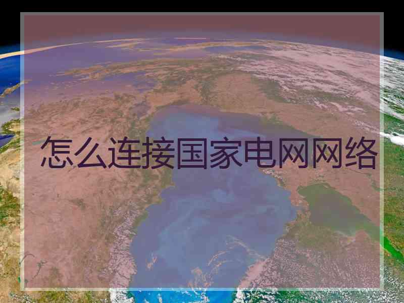 怎么连接国家电网网络
