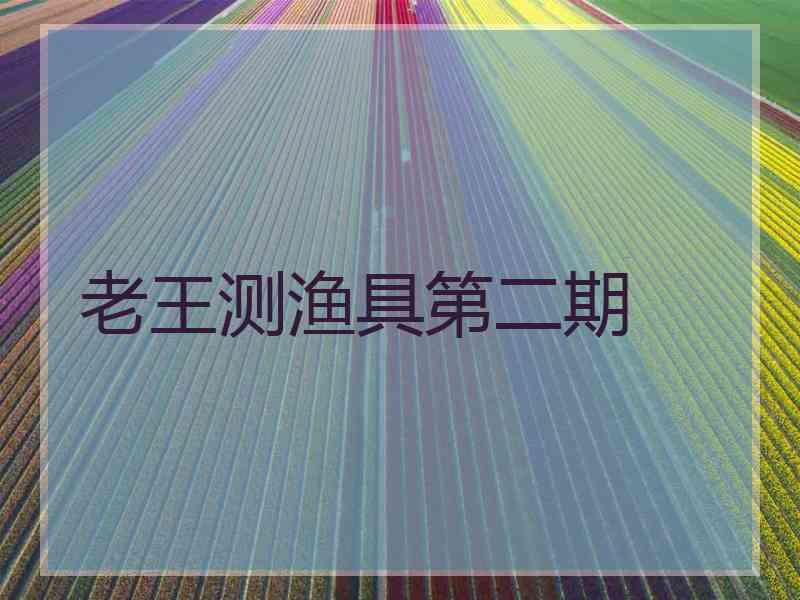 老王测渔具第二期