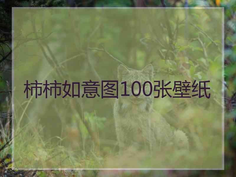 柿柿如意图100张壁纸
