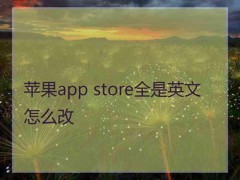 苹果app store全是英文怎么改
