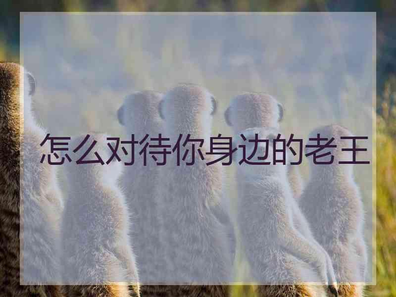怎么对待你身边的老王