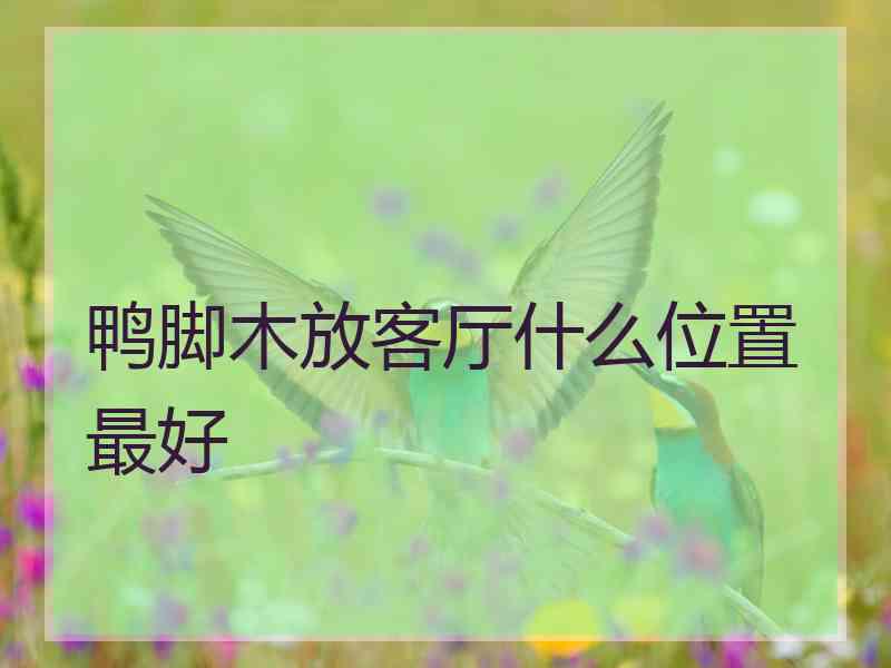 鸭脚木放客厅什么位置最好