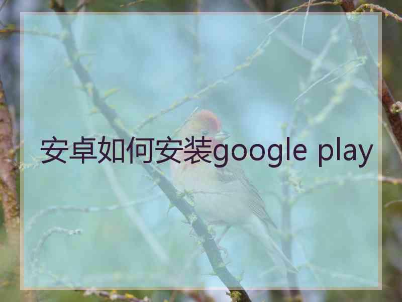 安卓如何安装google play