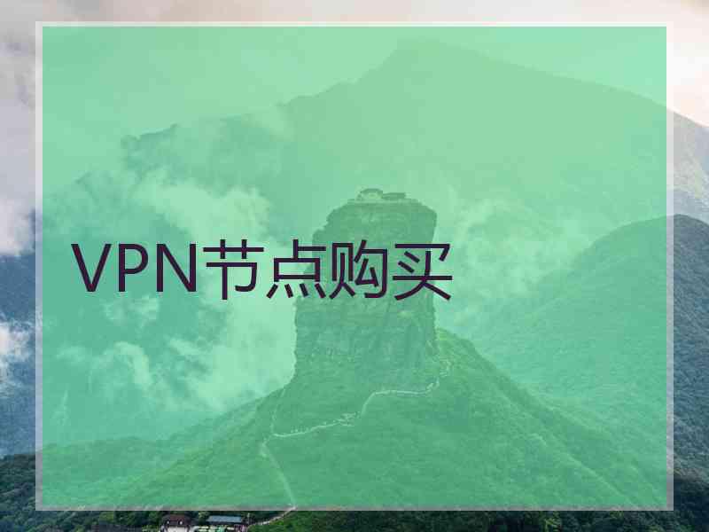 VPN节点购买