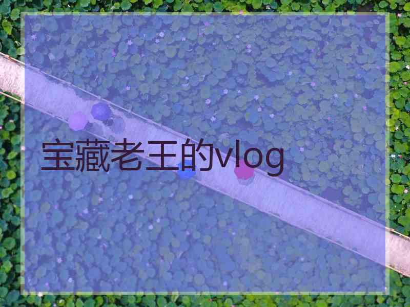 宝藏老王的vlog