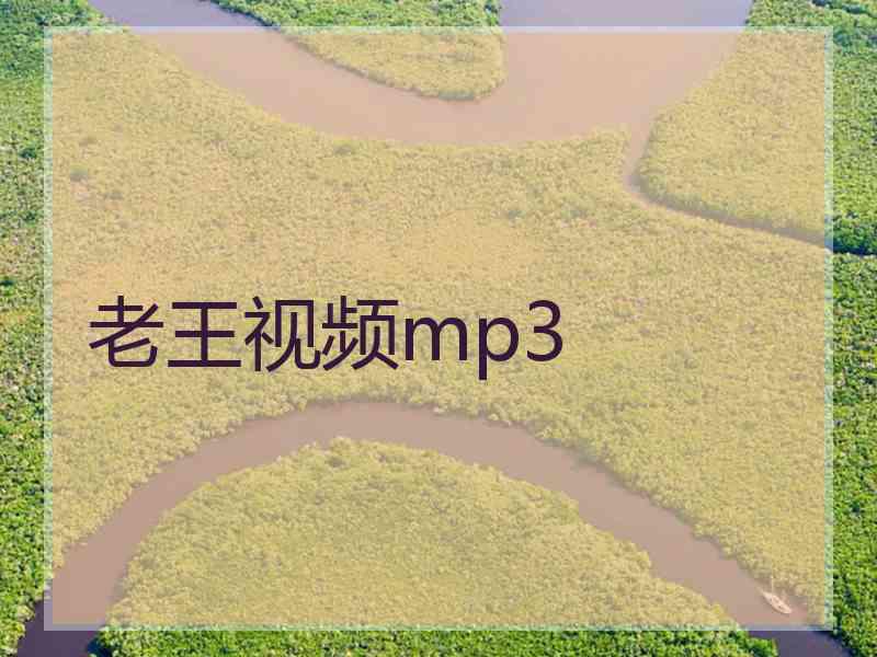 老王视频mp3