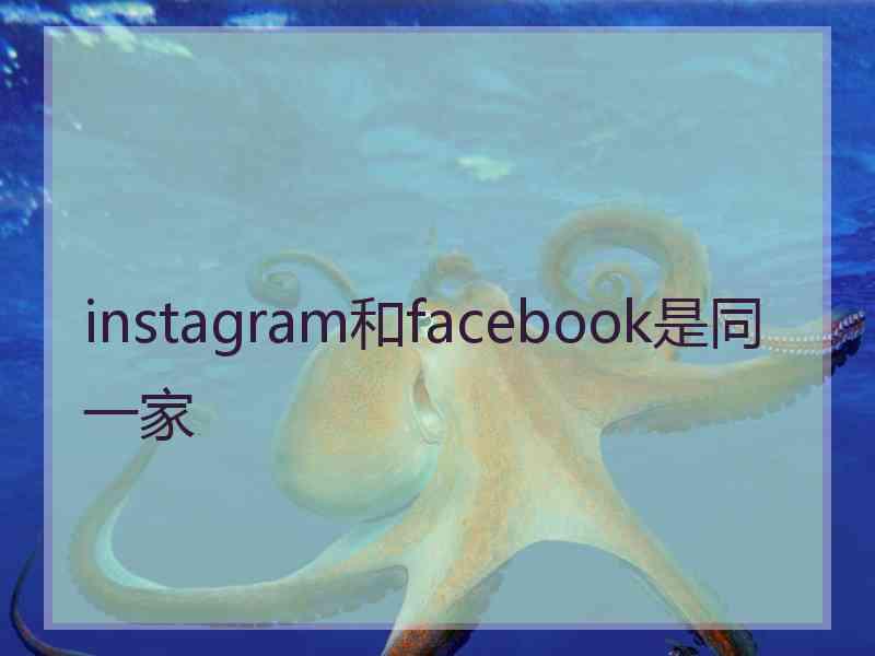 instagram和facebook是同一家